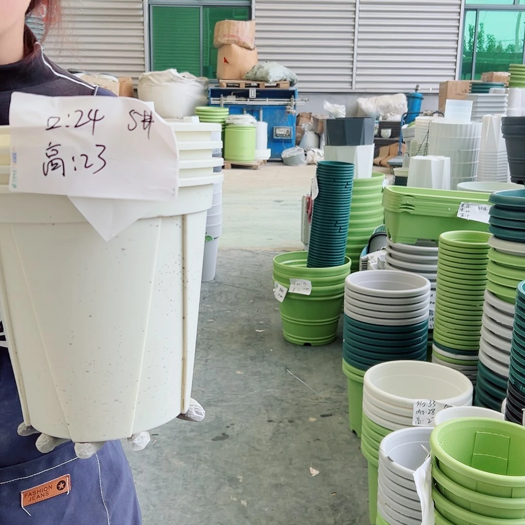 青山盆5#米白8个无托