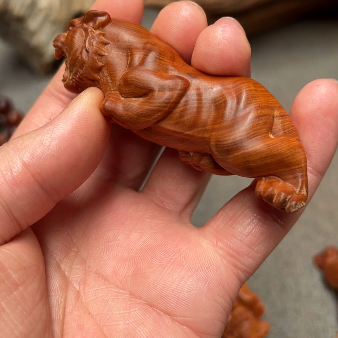 柏木（崖柏）太行崖柏陈化太行