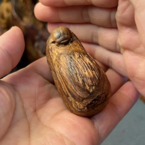 【闪购商品】把件黄花梨/降香黄檀