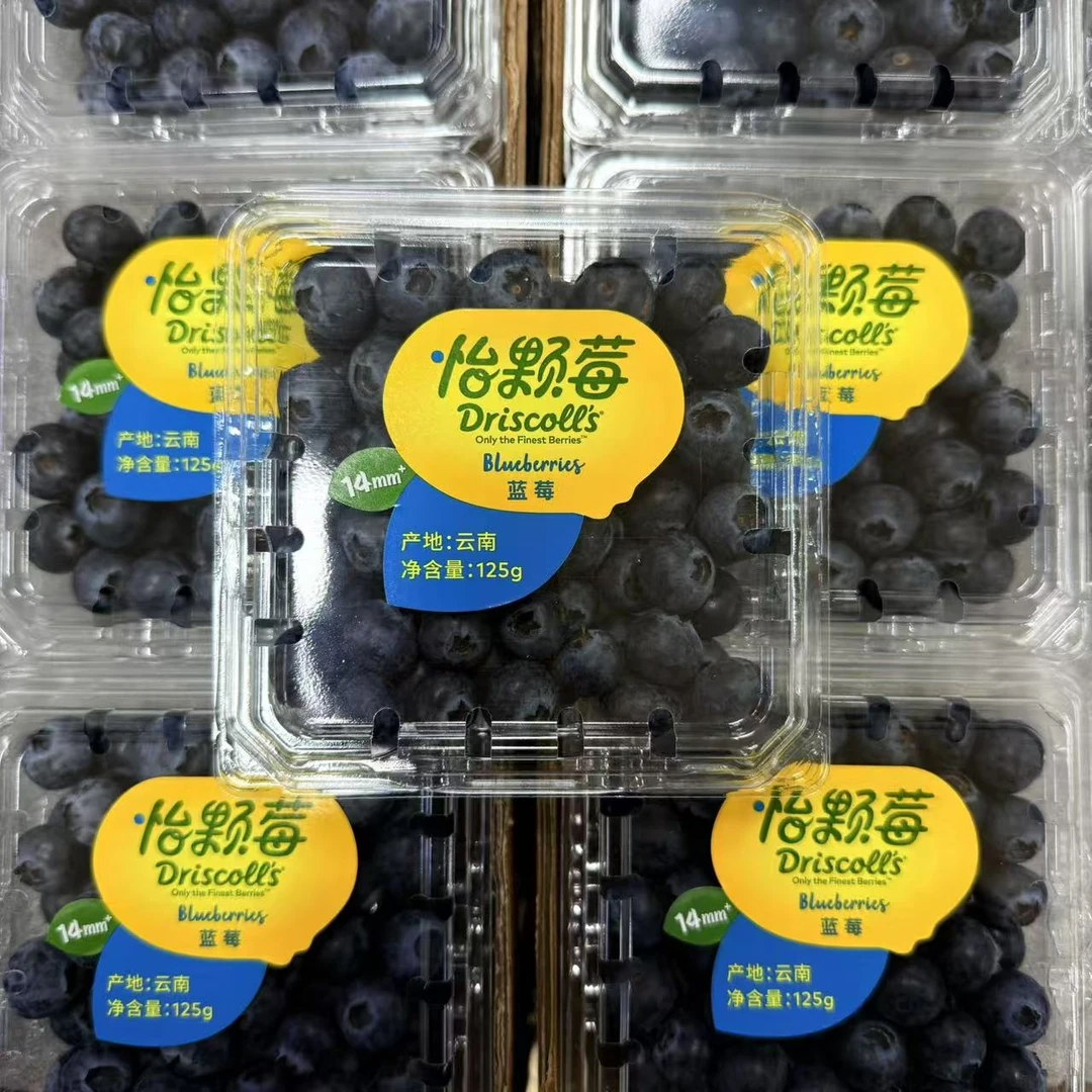 【云南蓝莓】顺丰包邮云南蓝莓新鲜应季水果