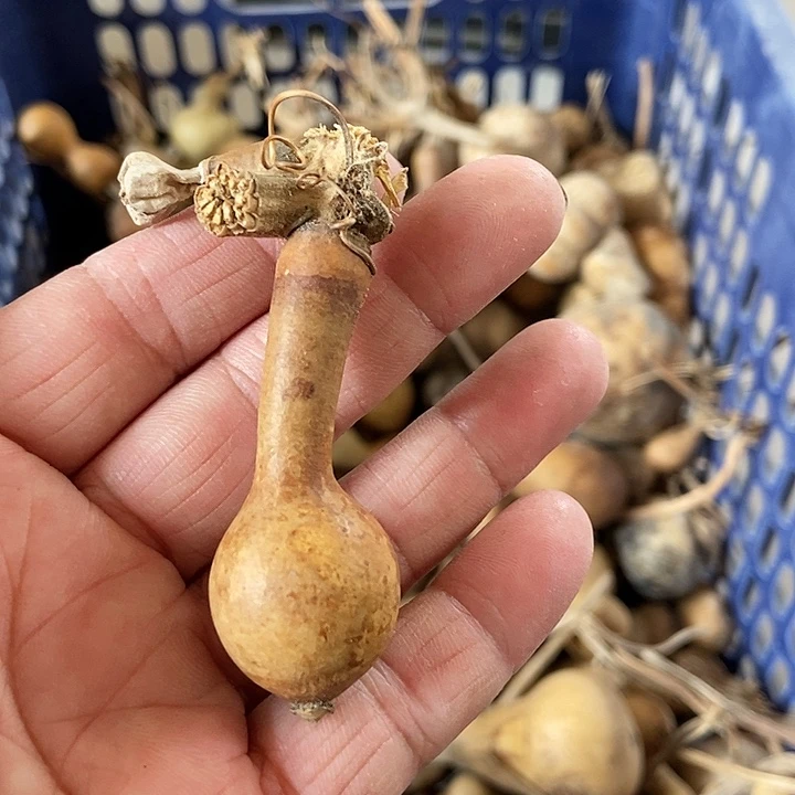 手**户Sshshjdjssjkkxks