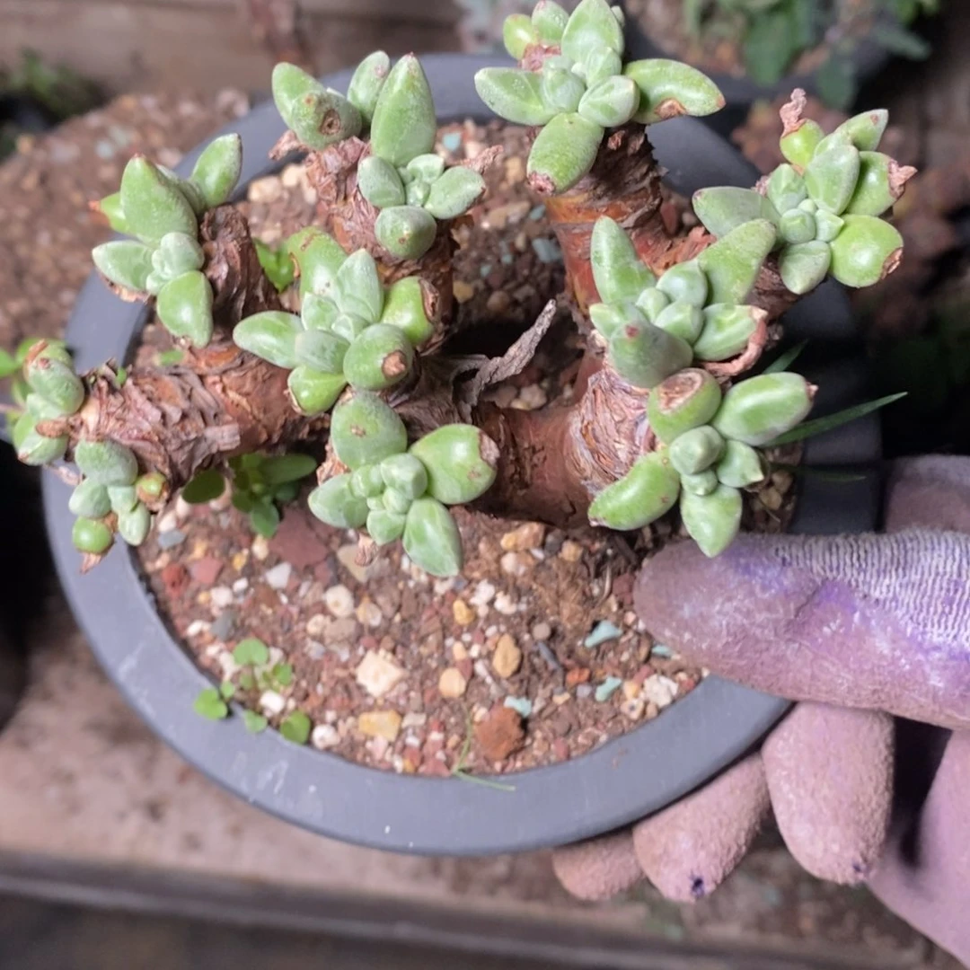 2045花哈哈哈哈哈哈哈哈哈哈哈哈