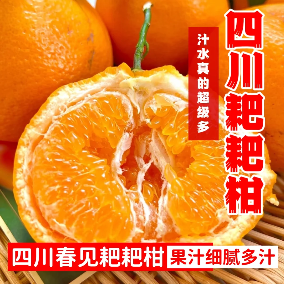 【原产地直发】四川春见耙耙柑手剥橘子粑粑柑/新鲜采摘/爆汁香甜