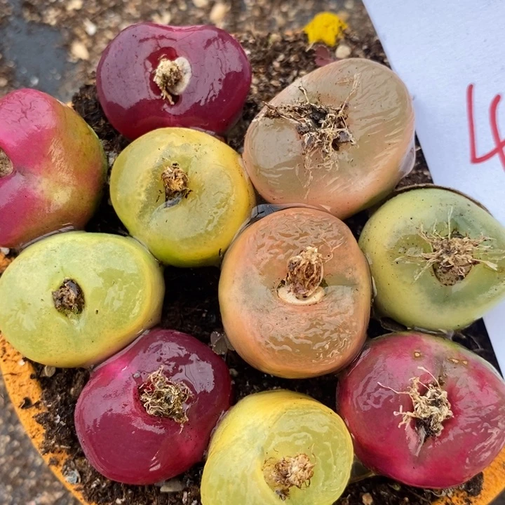 476一组一组一组