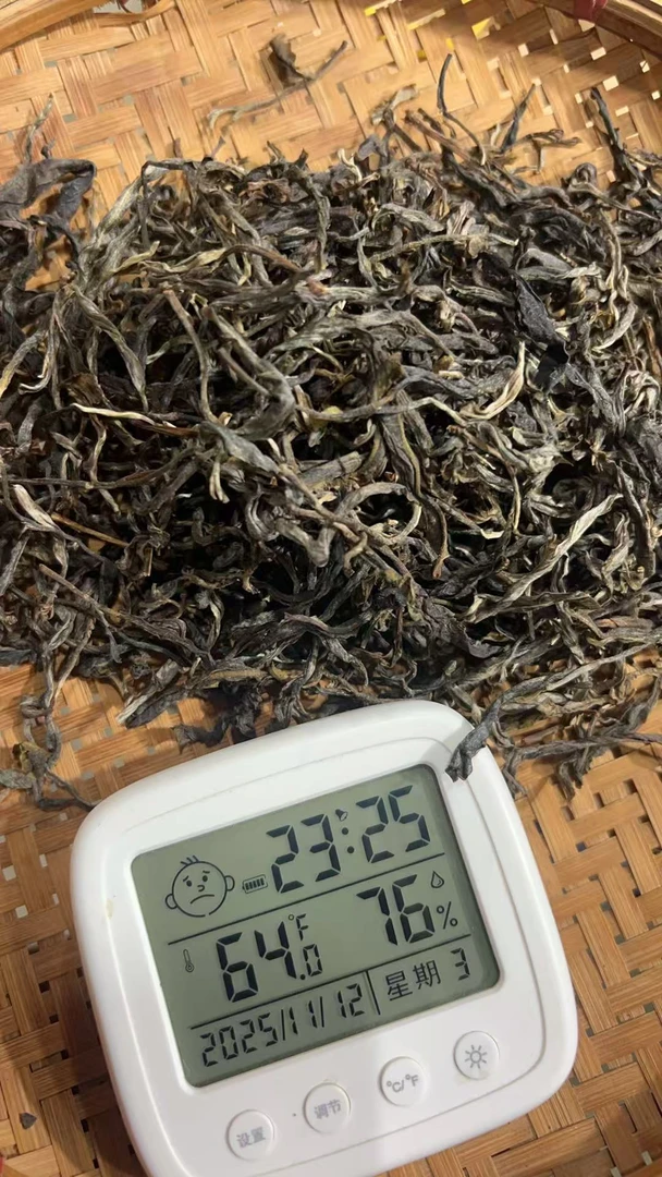 【21】2025年大忠山（春） 生茶散茶 500克 11.12