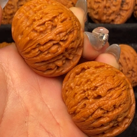 文玩核桃把件秦岭山脉核桃