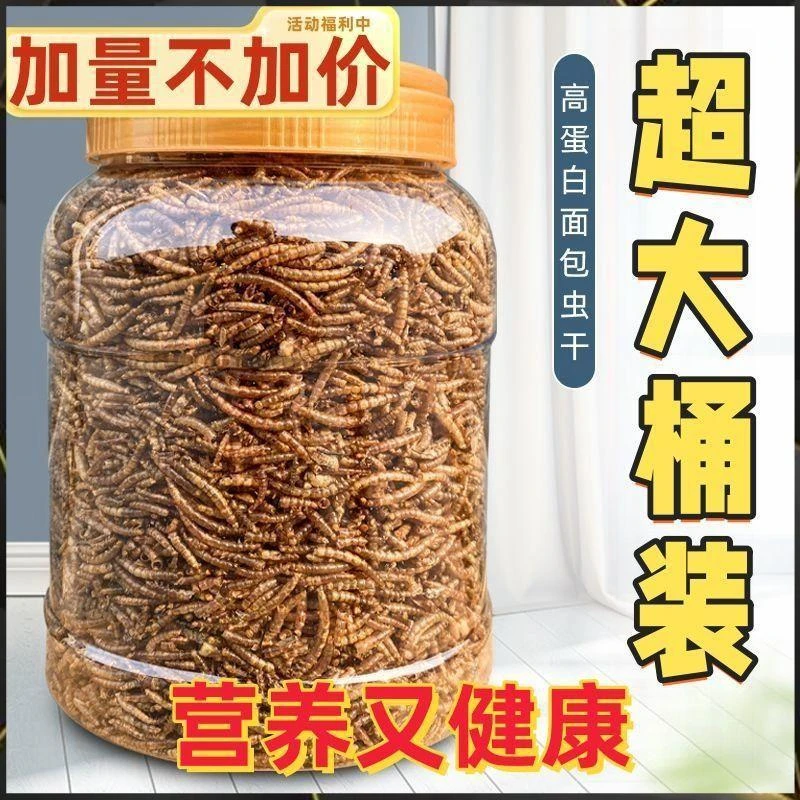 罐装面包虫干乌龟卢丁鸡鸟食金丝熊刺猬零食八哥黄粉虫仓鼠用品