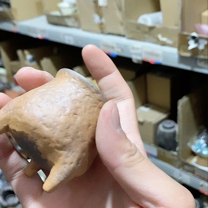 瓷片荷花绽放出的光芒和我说话