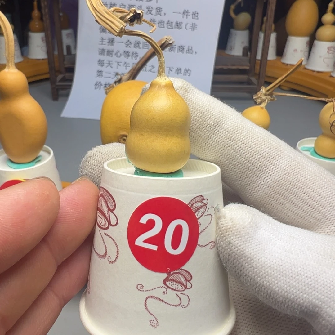 闪电购自助下单编号20