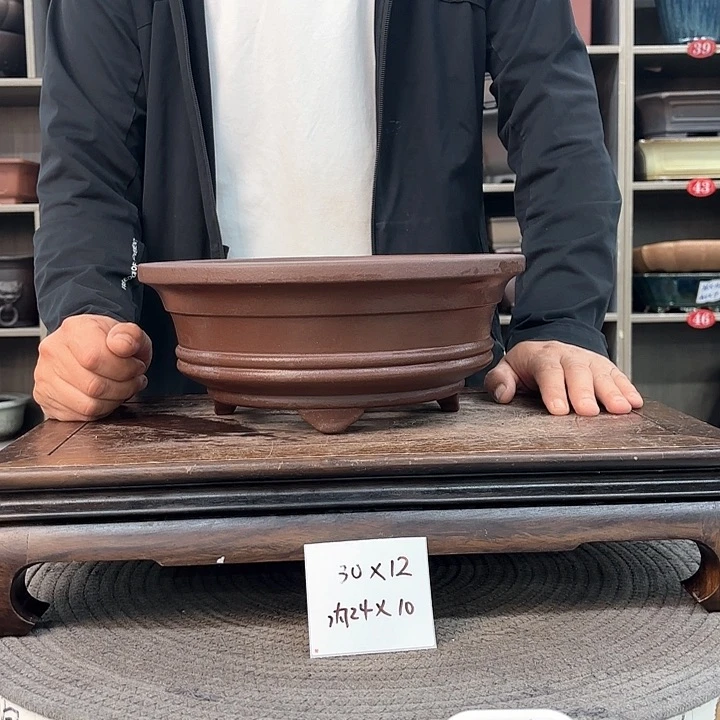 紫砂花盆紫砂的花也太