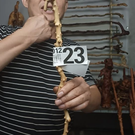 顺***水香榧木高山 檬子木文玩料