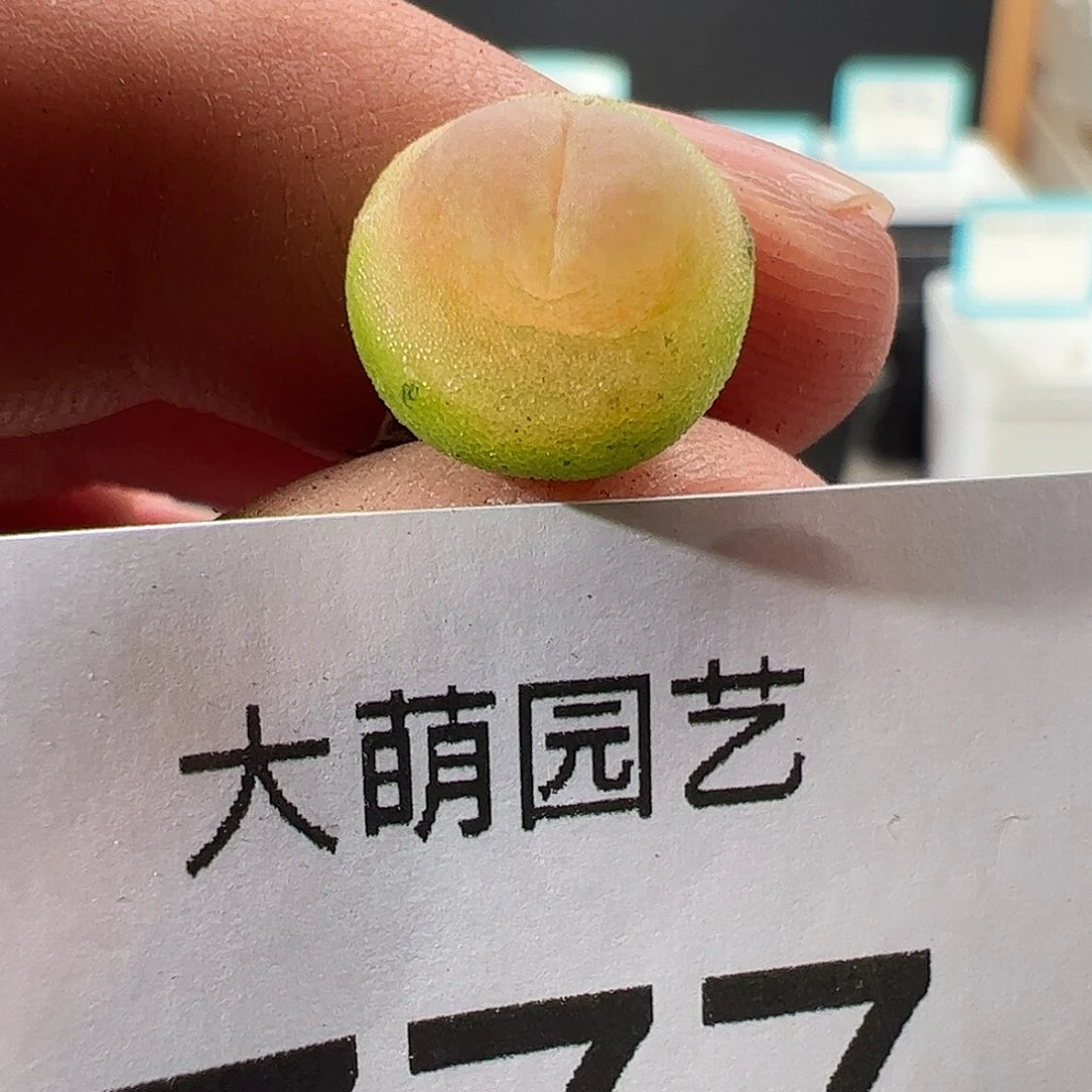0000777 一物一拍……
