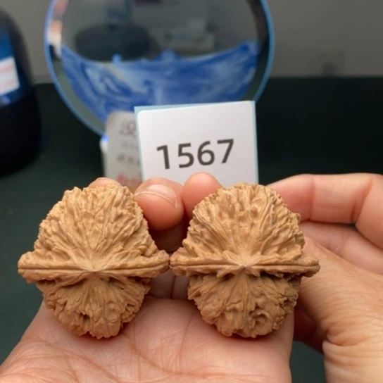 文玩核桃把件14三角白1567