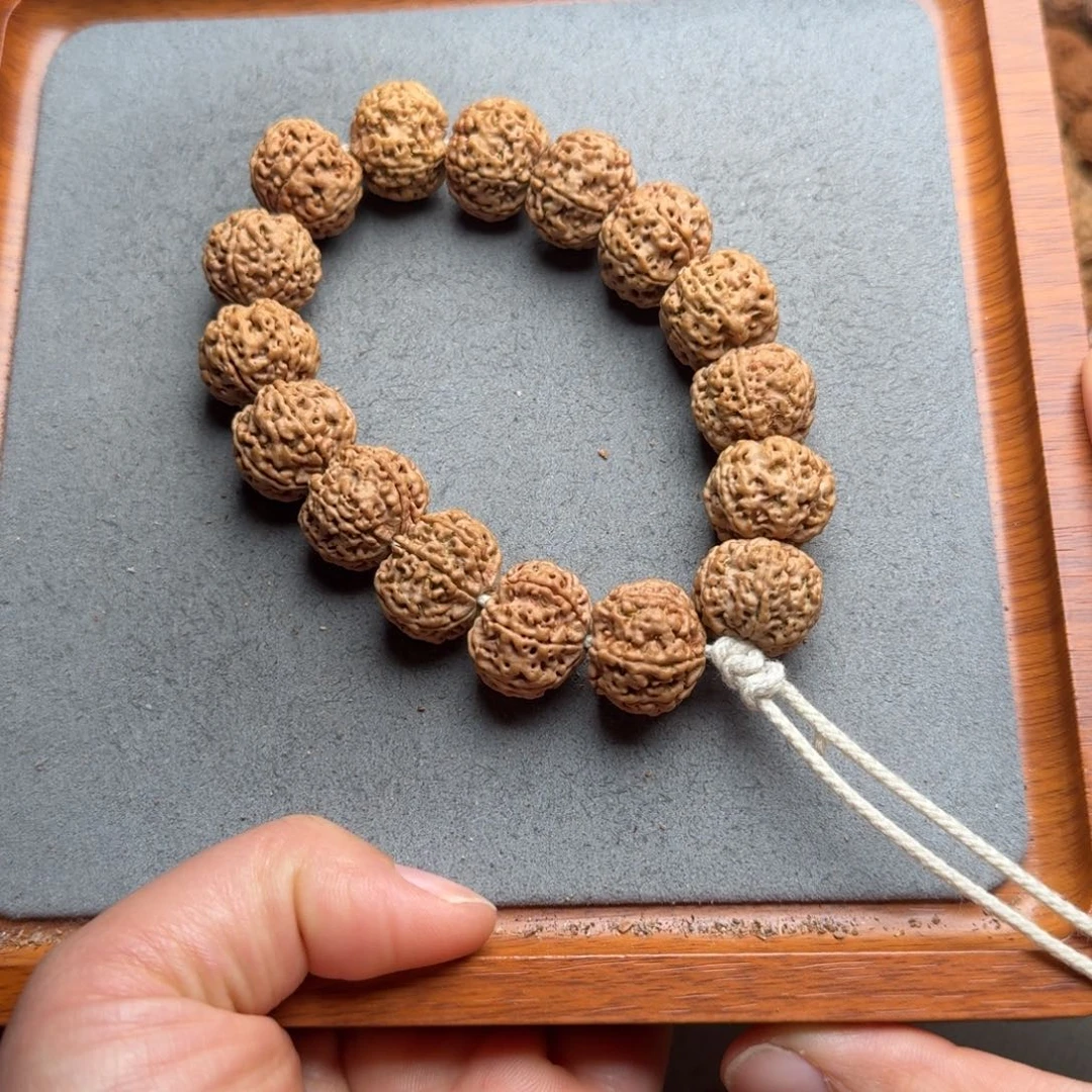 菩提菩提16号尼泊尔大金刚19六瓣梅花