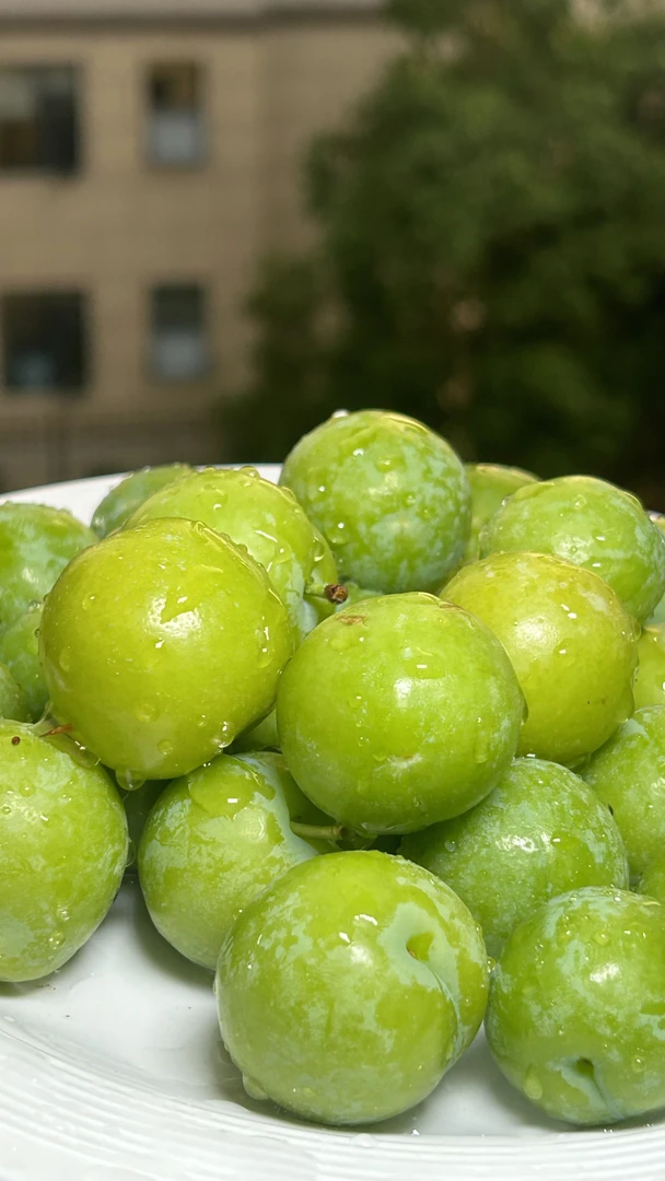 云南新鲜三月李酸脆爽口孕妇开胃解馋水果青李李子