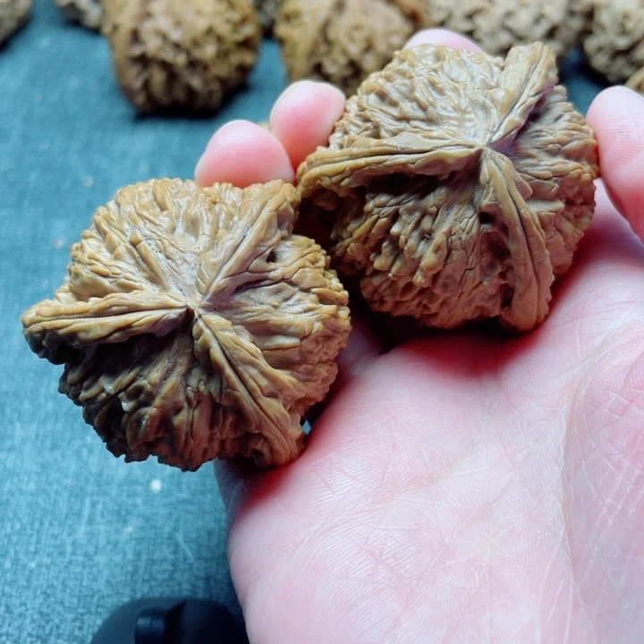 马*特手工三棱白狮子三棱
