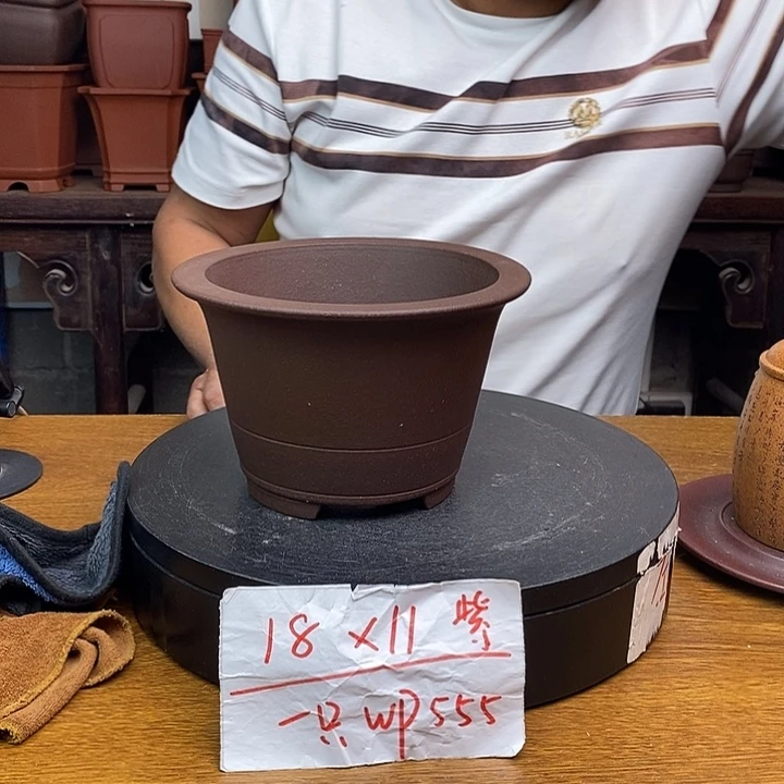 紫砂货号一只WP555