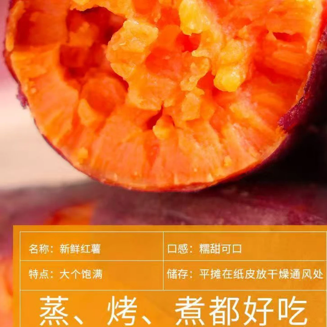 新鲜现挖西瓜红蜜薯软糯香甜地瓜番薯，农家自种