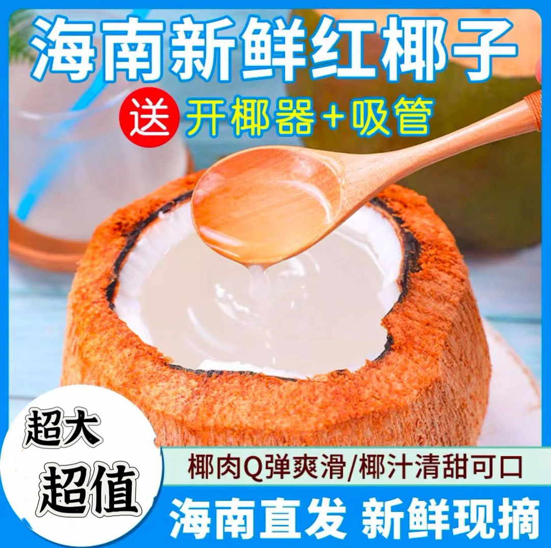 正宗海南红椰子新鲜带皮椰青纯天然孕妇水果清甜2-9个装