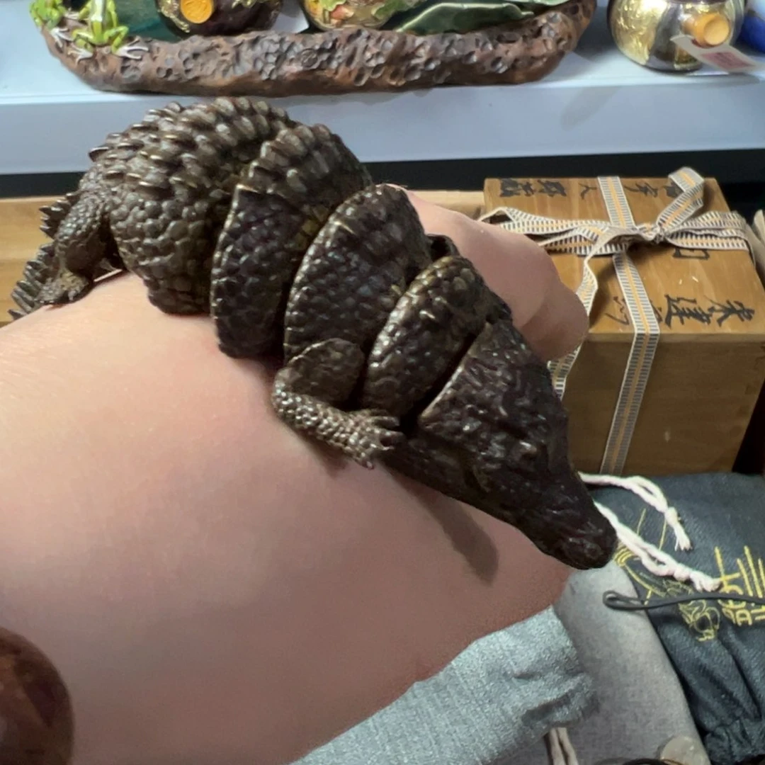 紫砂茶杯放漏场，全都漏