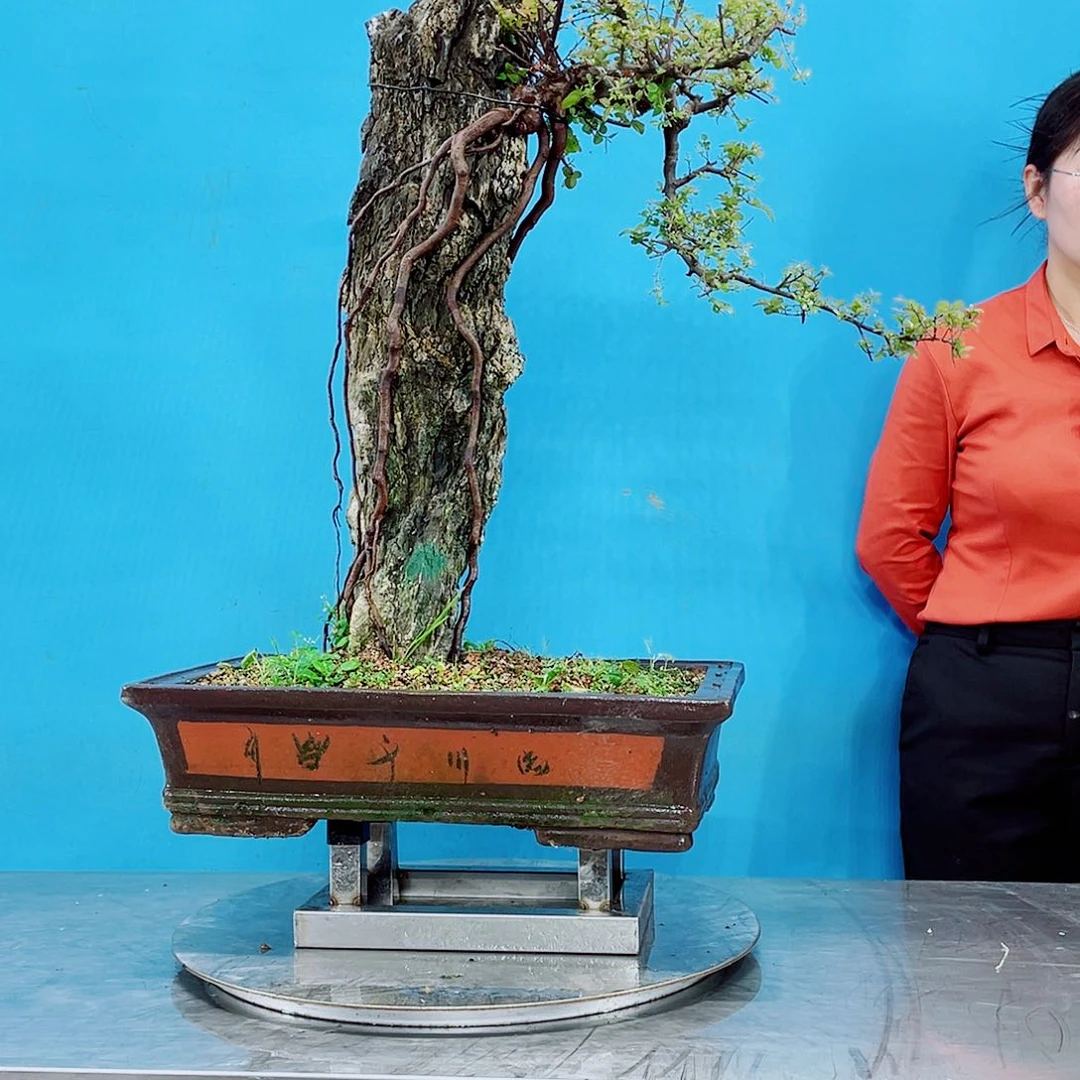 无铅玻璃岭南文化艺术中心的