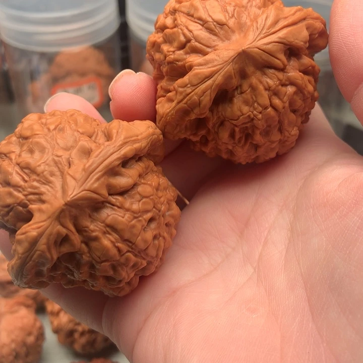 大叶紫檀（黑酸枝木类）