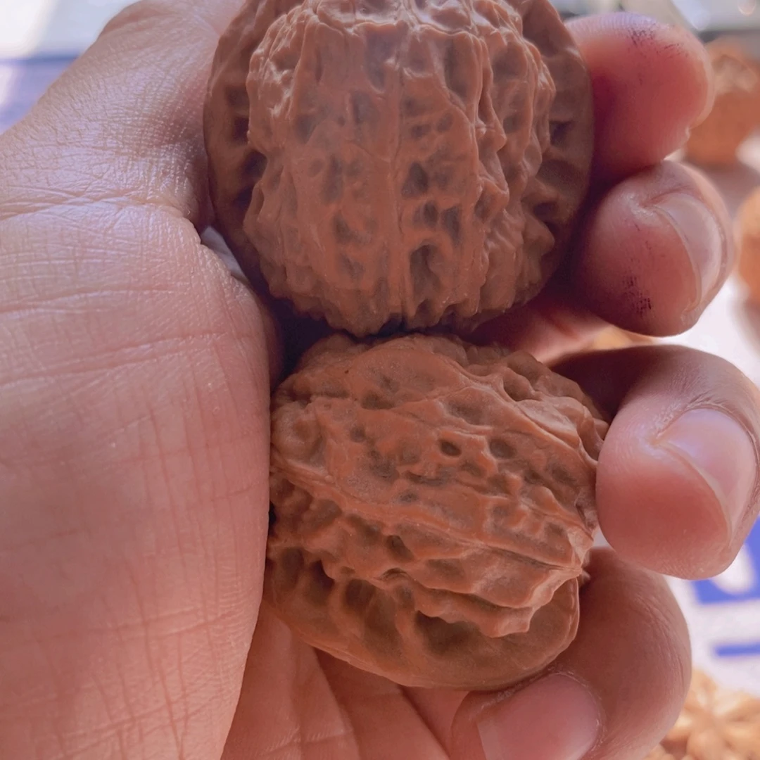 C***哥大叶紫檀（黑酸枝木类）文玩核桃小众核桃