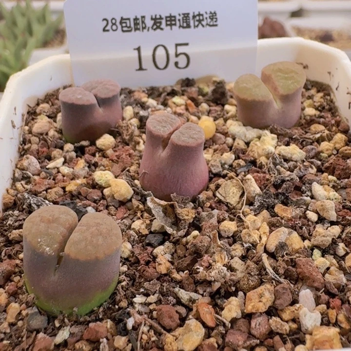 105。