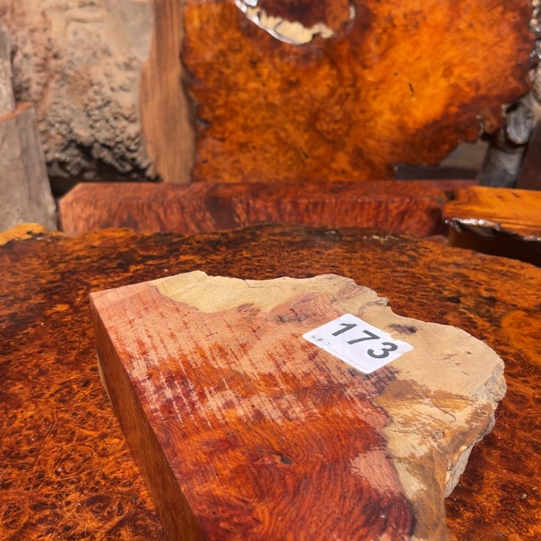 大果紫檀（缅甸花梨）