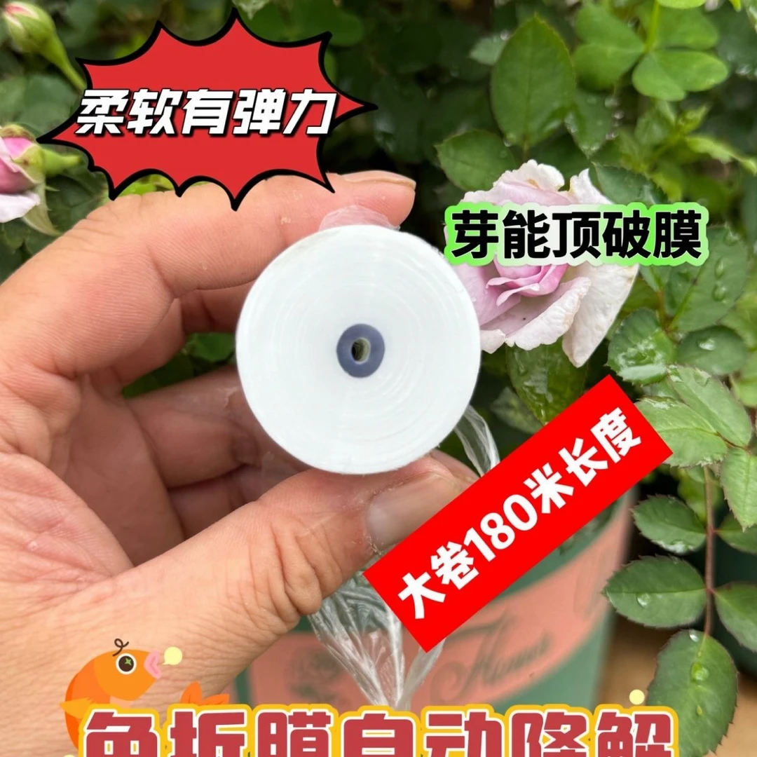 果树嫁接专用免拆嫁接膜芽穿刺自动降解农用果树膜多用嫁接绑带