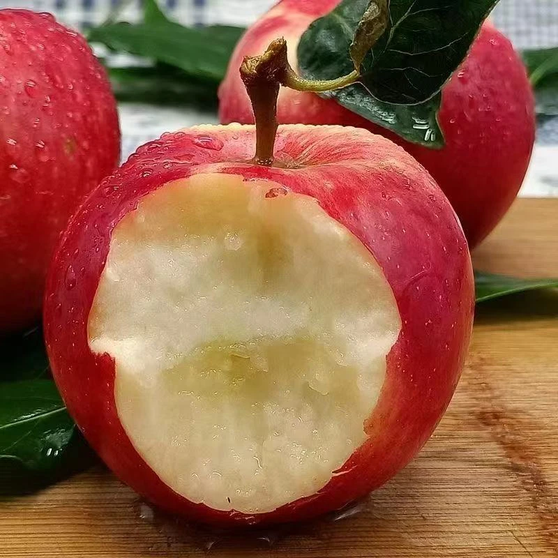 大降价【云南高原华硕丑苹果】当季新鲜现摘头茬丑苹果产地直发