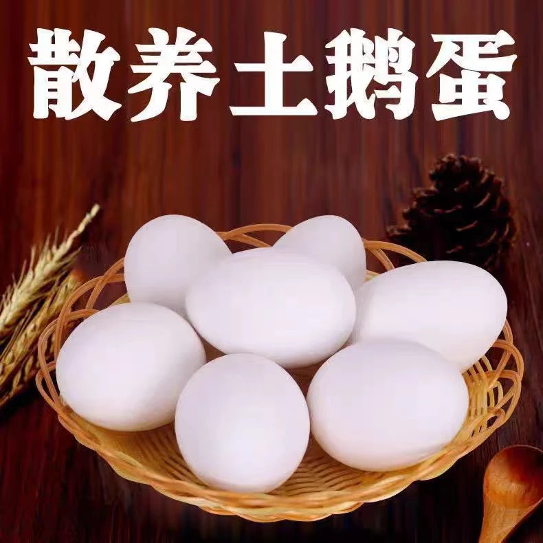 鹅蛋新鲜自家散养孕妇好吃生鹅蛋鹅蛋现捡现发整箱包邮