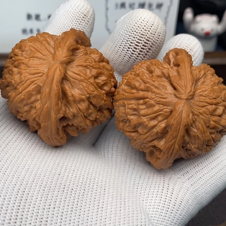 46尺寸微修尖白狮子