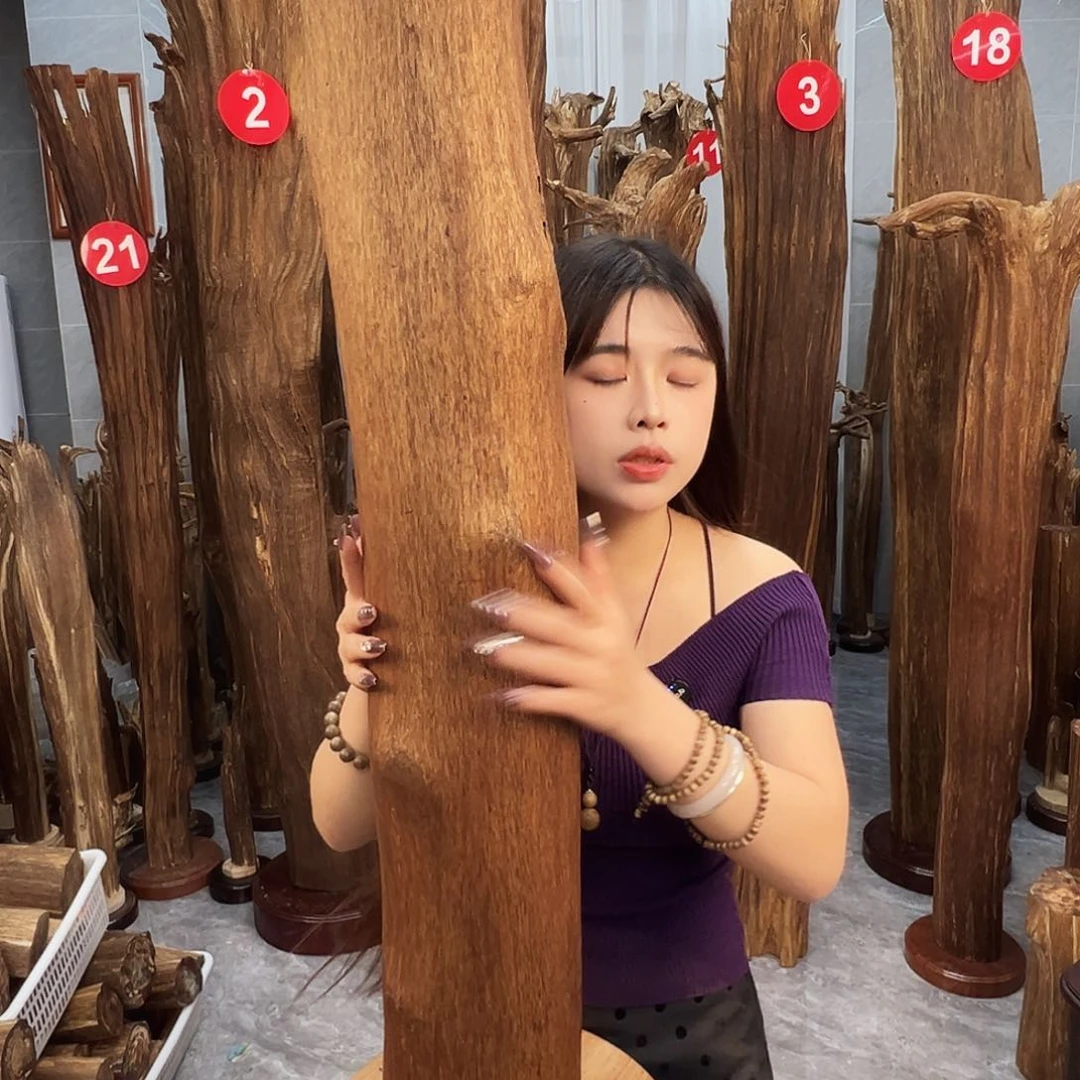 沉香碎屑沉香沉香原料