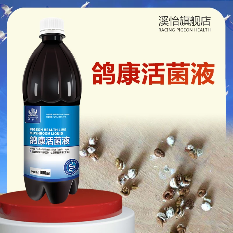 溪怡活菌王鸽用拉稀水绿便沙门氏益生菌专用调理肠道鸽子用大全