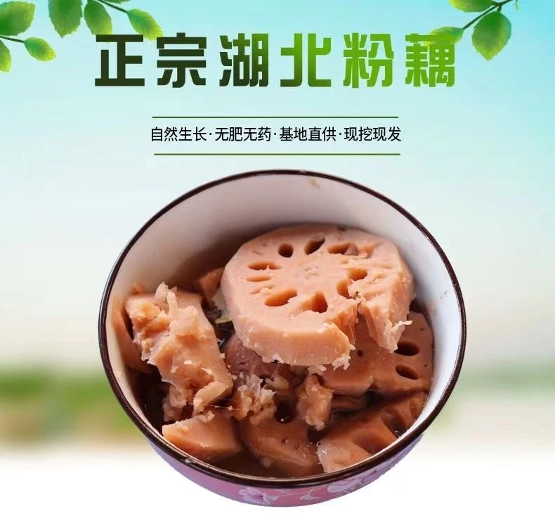 【只发中段不粉包赔】洪湖莲藕煲汤粉藕，去头去尾只取中段，新鲜现挖