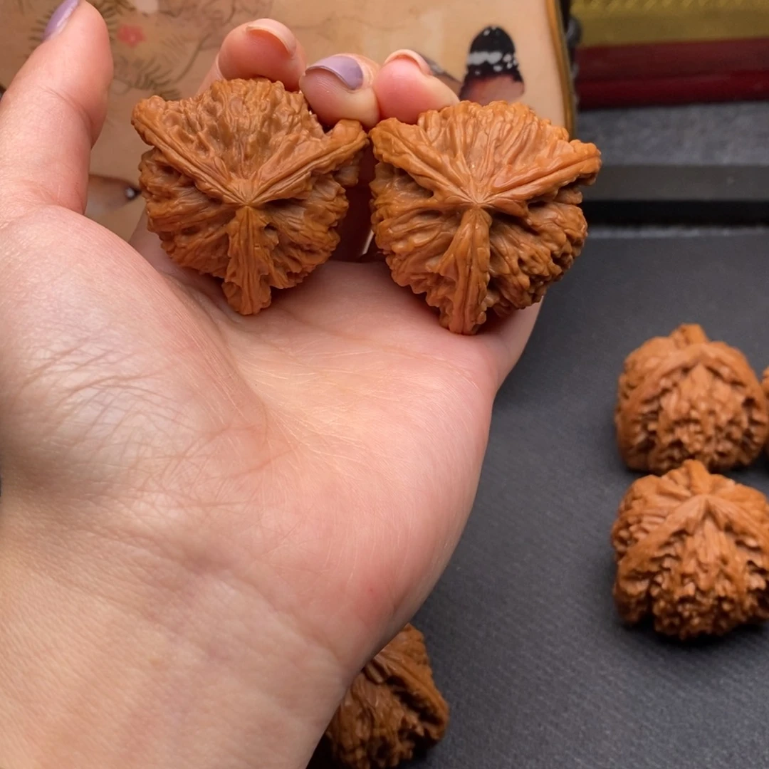 深**雨白狮子-1111111111111