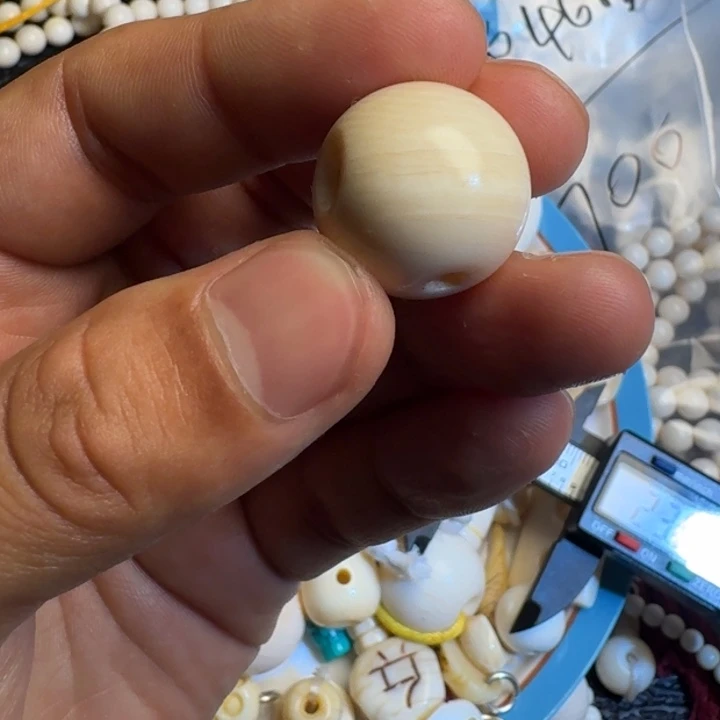 巨***婴吊坠菩提根/象牙果