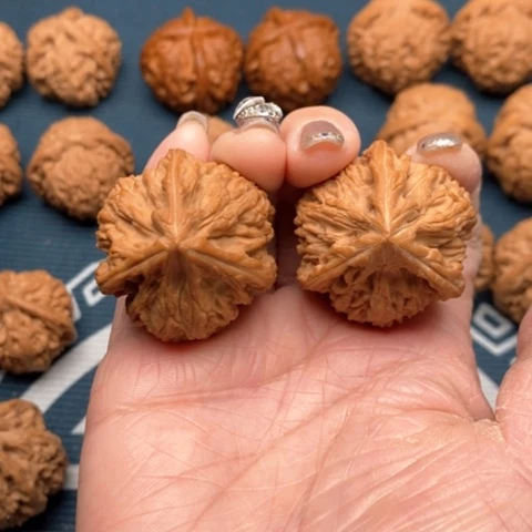 橄榄核手串/手链超****y文山三棱36