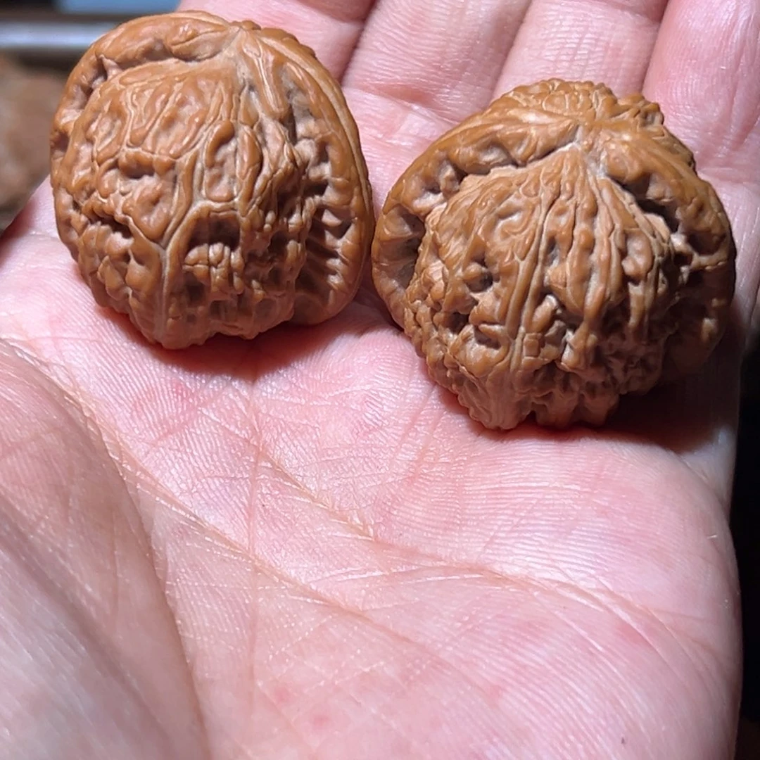 苹***果瑞麟文玩核桃白狮子有修介意勿拍