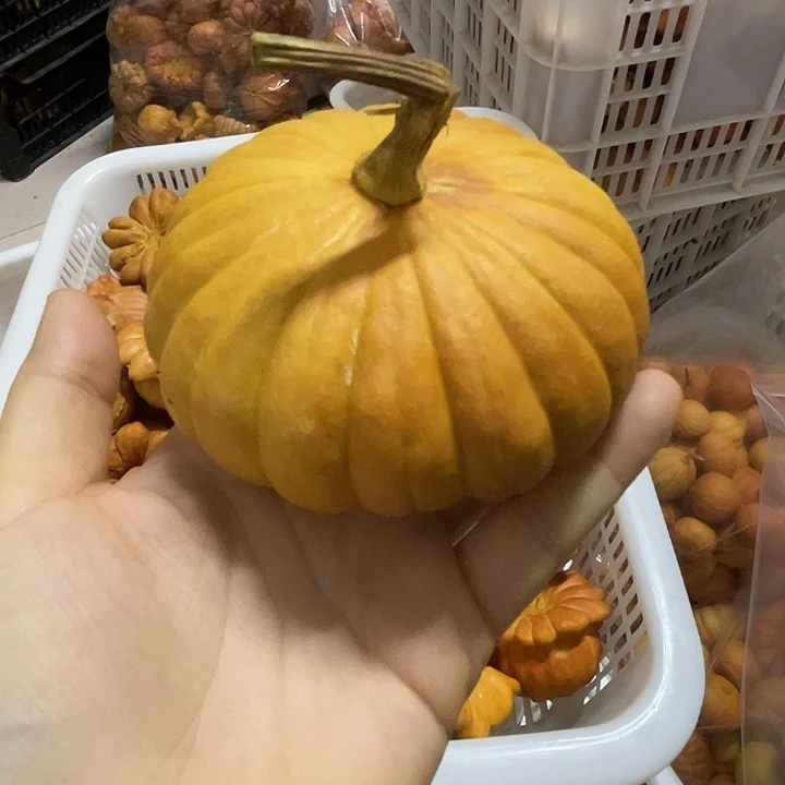 三***嘴特价葫芦不退不换