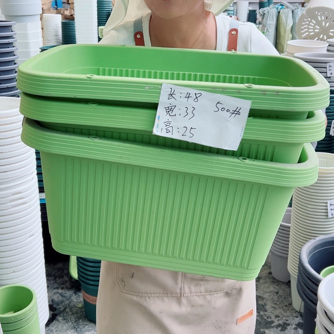 菜盆500#果绿色3个无托