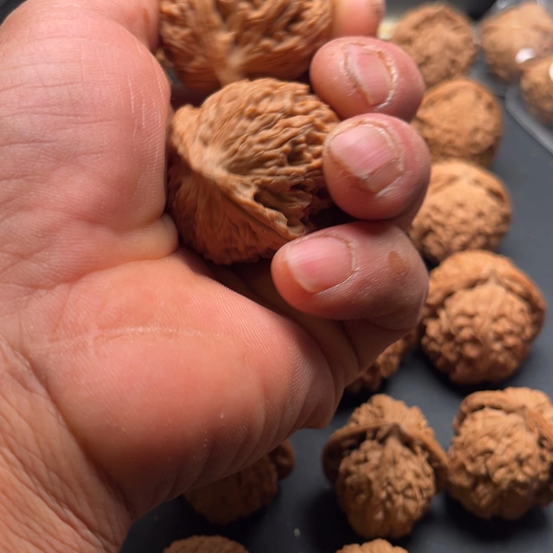 文玩核桃吊坠水龙纹