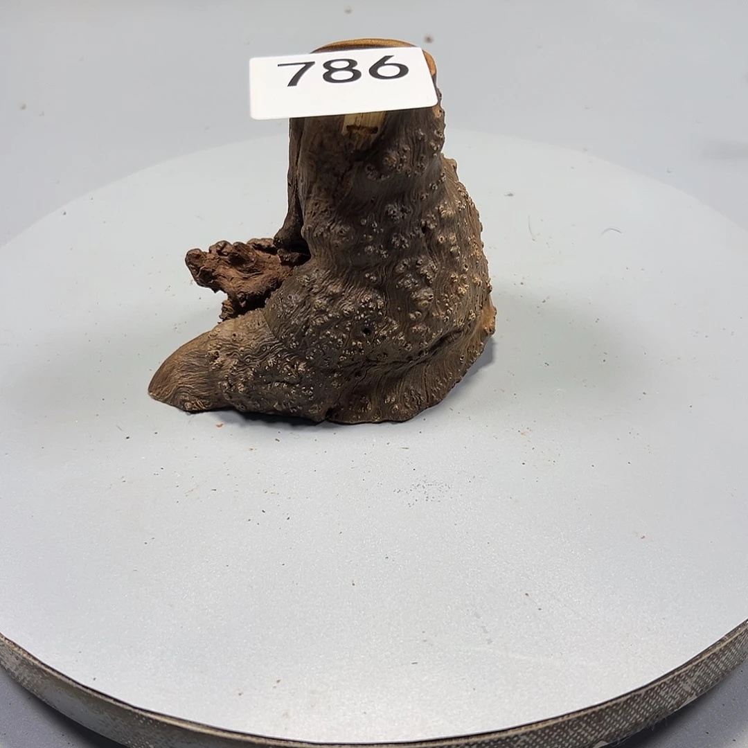 大果紫檀（缅甸花梨）唐**爸