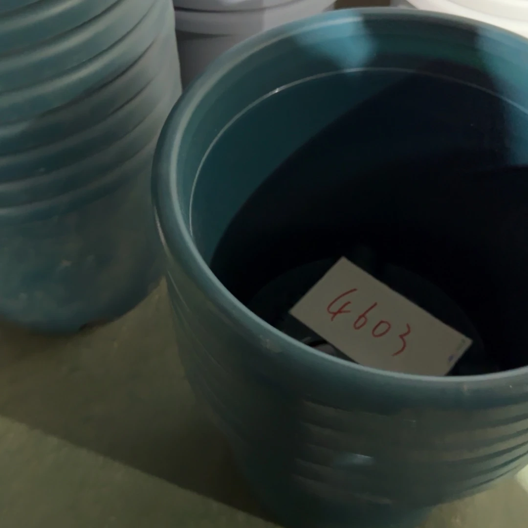 咖*编号是4603的编号