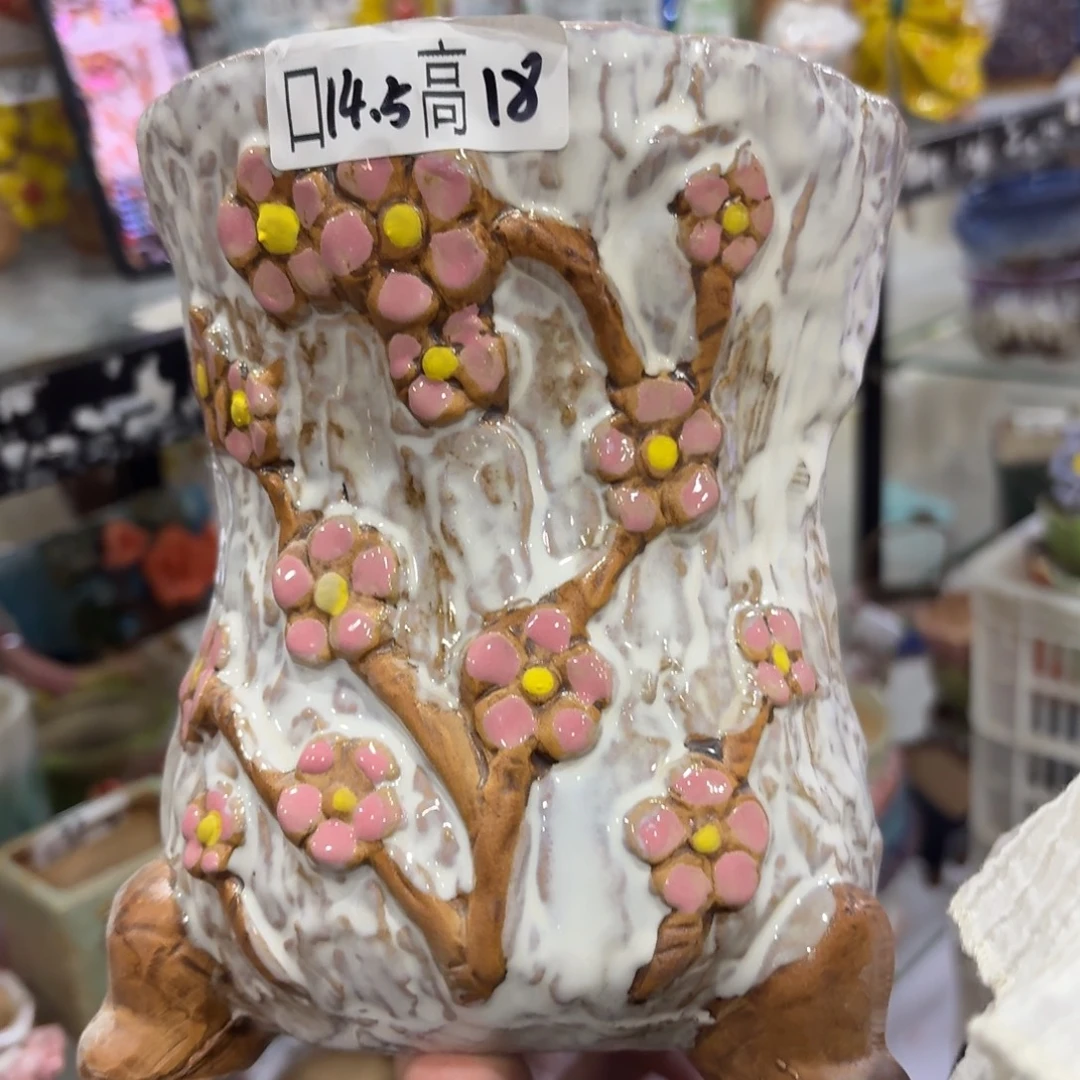 本场直播满百送个盆