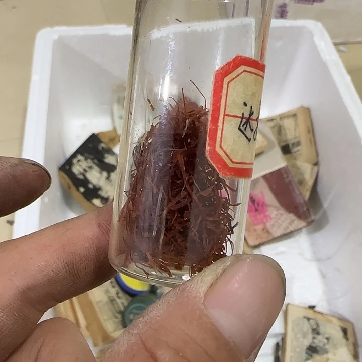 A***京香榧木ghgvvvvvbvbbb
