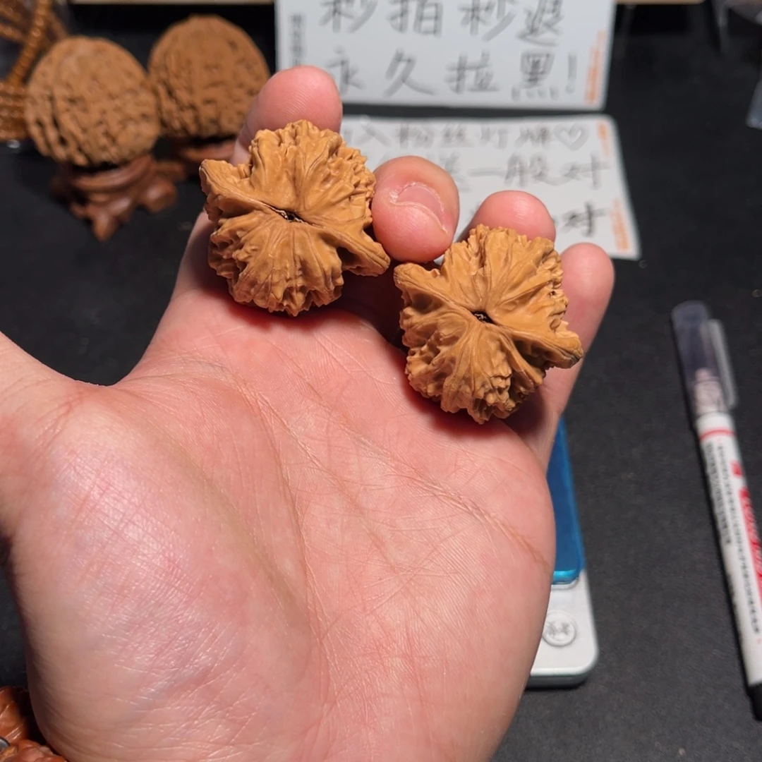 39全品盘龙虎头11