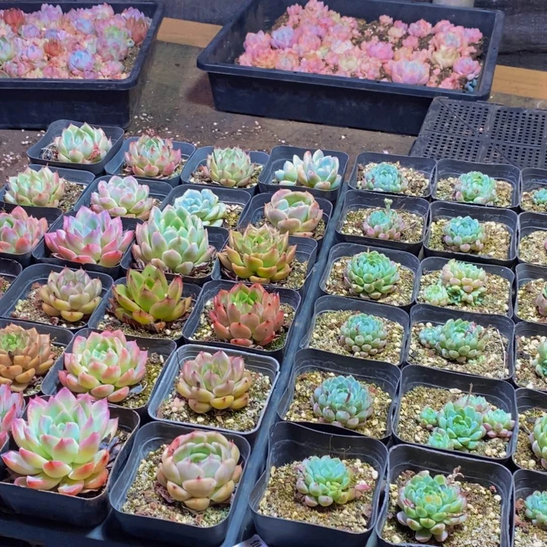 202的人在一起的时候就会觉得