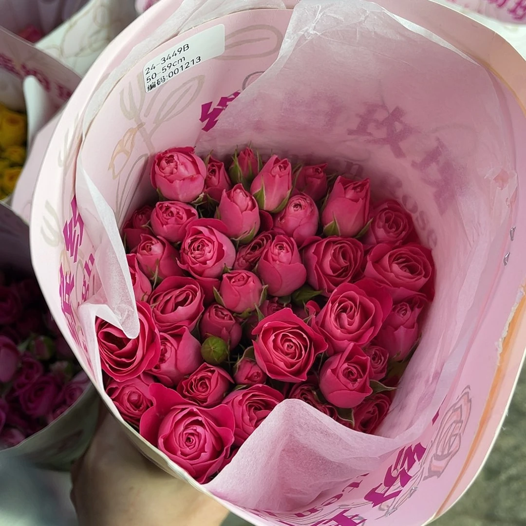 全部花苞缤纷（24-3449）一扎